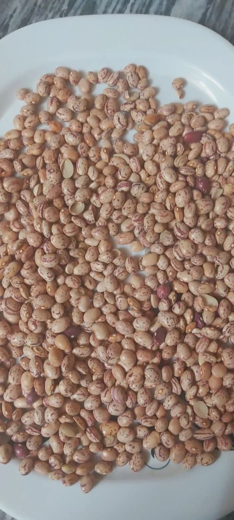 Dry pinto beans (Lubia Chiti) displayed in a white rectangular melamine dish