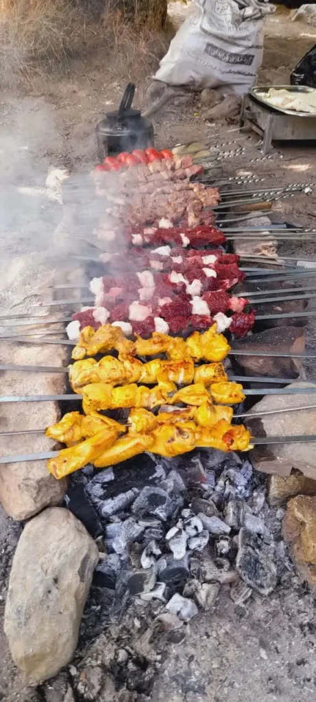 Close-up of succulent Persian Chenjeh (lamb/beef) and Joojeh (chicken) kabobs sizzling on skewers over glowing charcoal, with blurred natural greenery in the background, implying an outdoor grilling scene